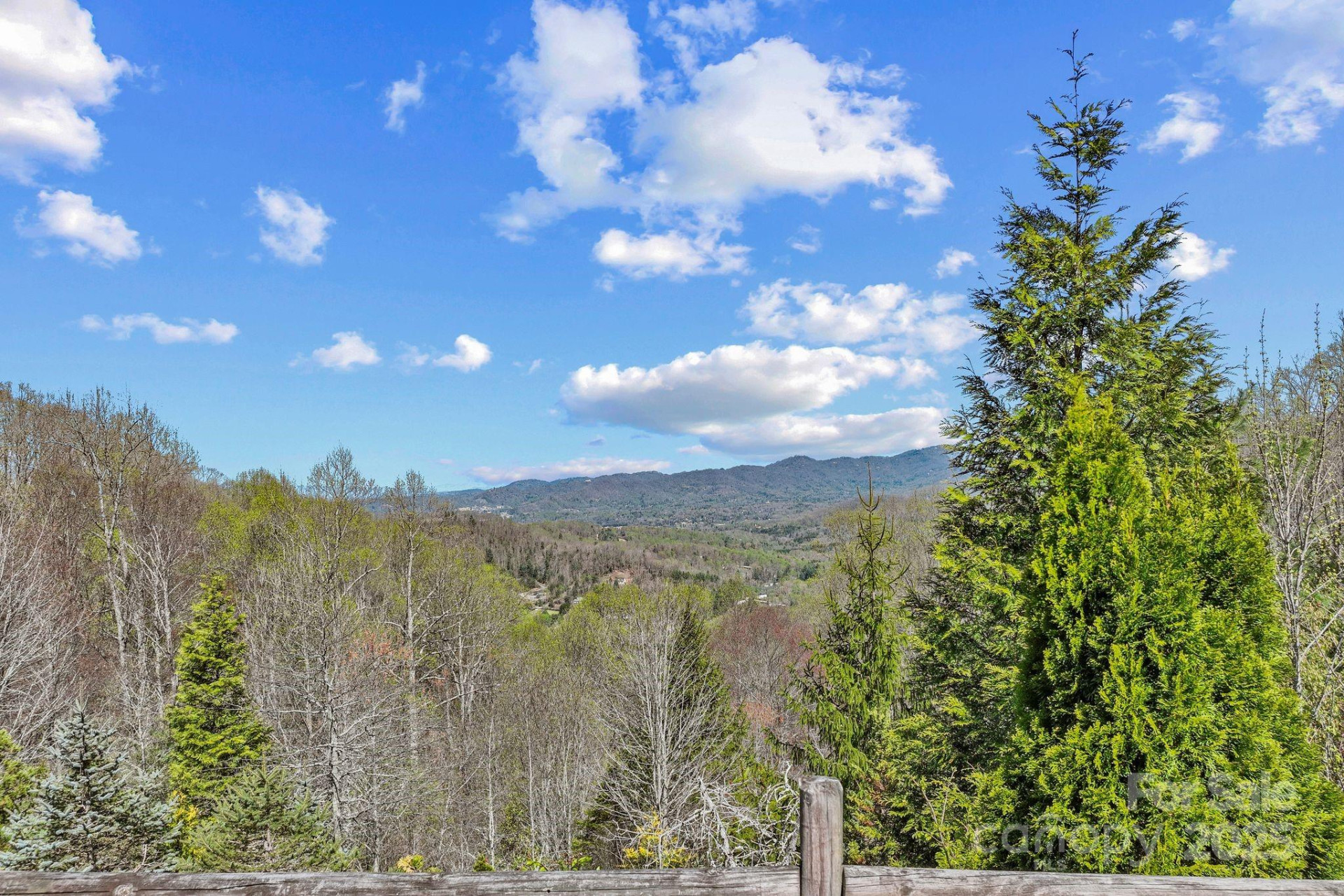 111 Flora Rose Trail - Photo 35