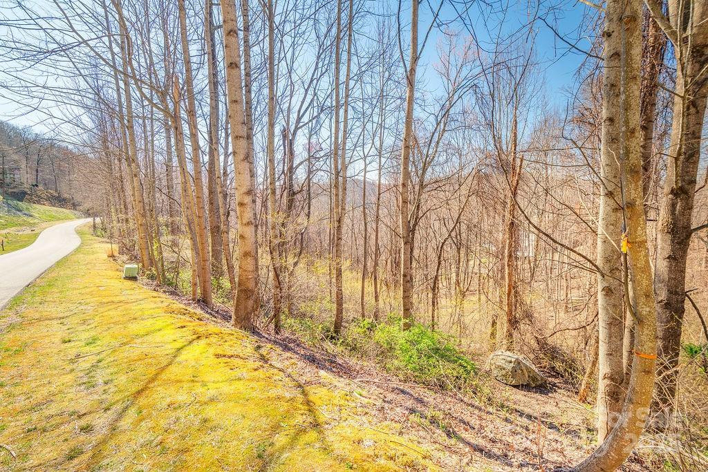 461 Somersby Parkway - Photo 2