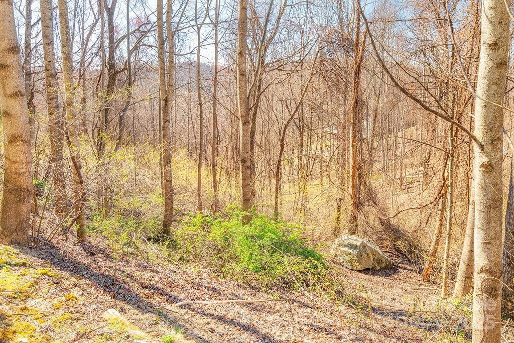 461 Somersby Parkway - Photo 3