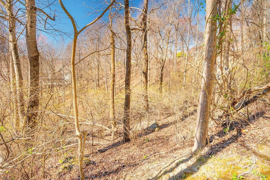 461 Somersby Parkway - Photo 4