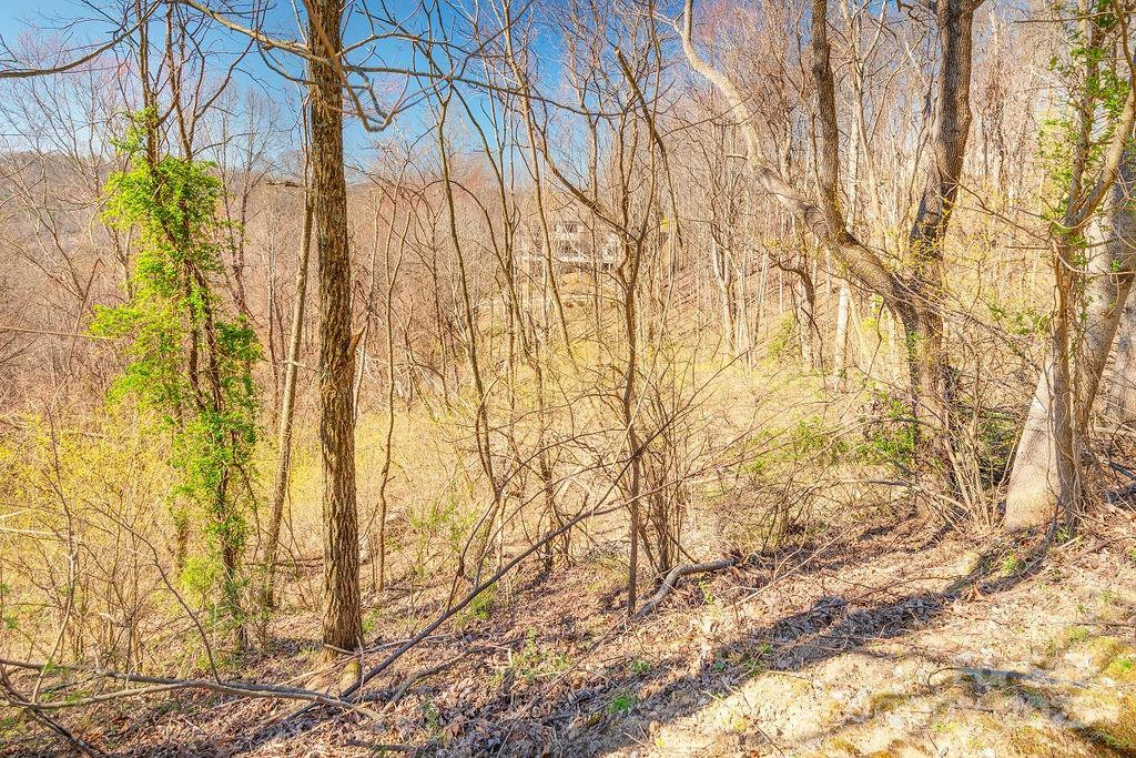 461 Somersby Parkway - Photo 5