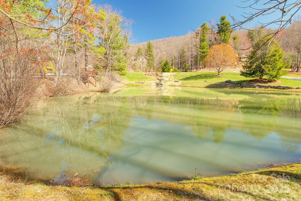 461 Somersby Parkway - Photo 7