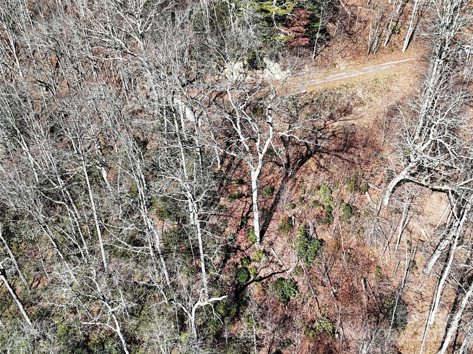 00 Barn Cove Road #61 & 62 - Photo 6