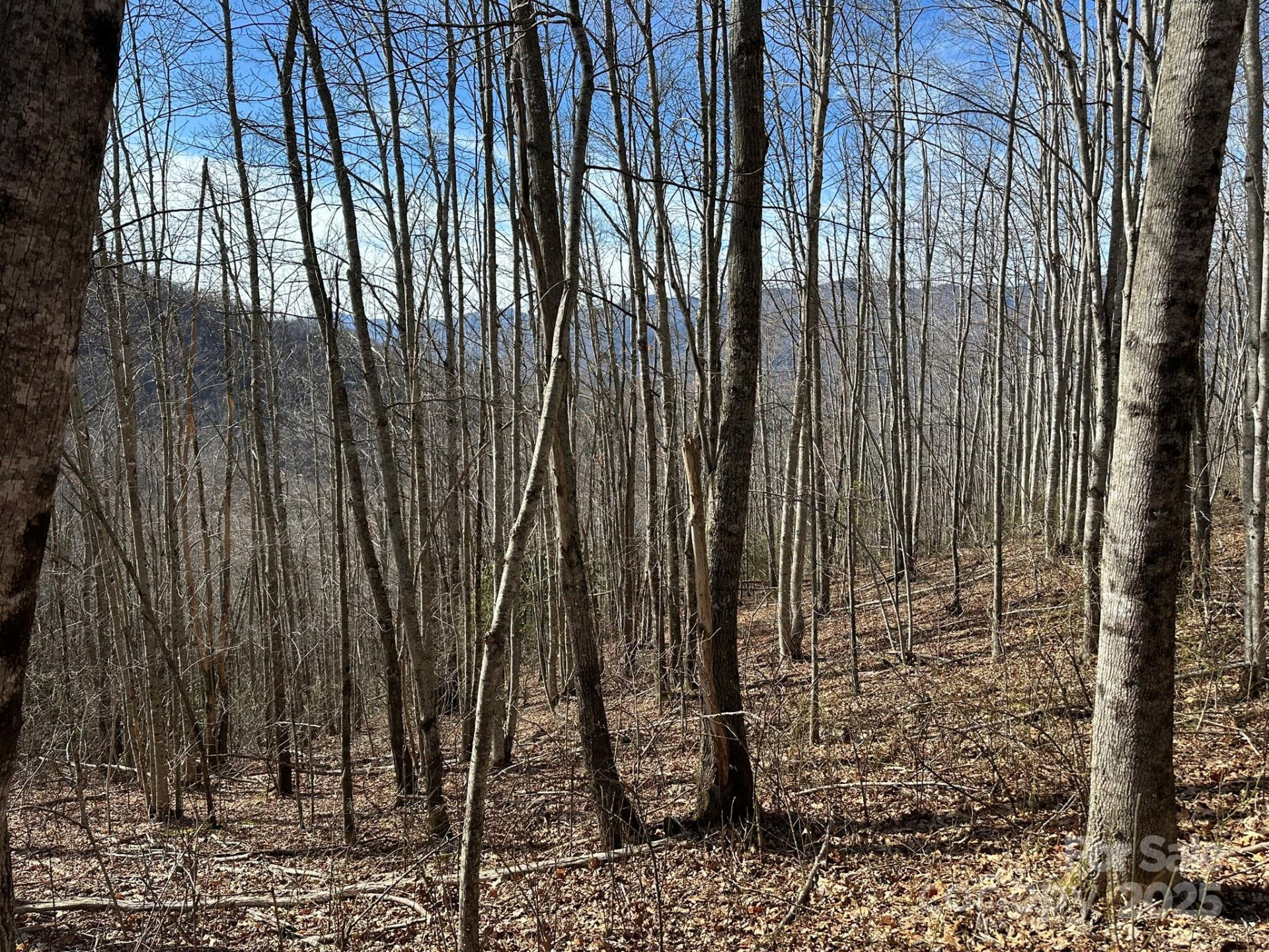 LT 262 Tote Road #262 - Photo 2