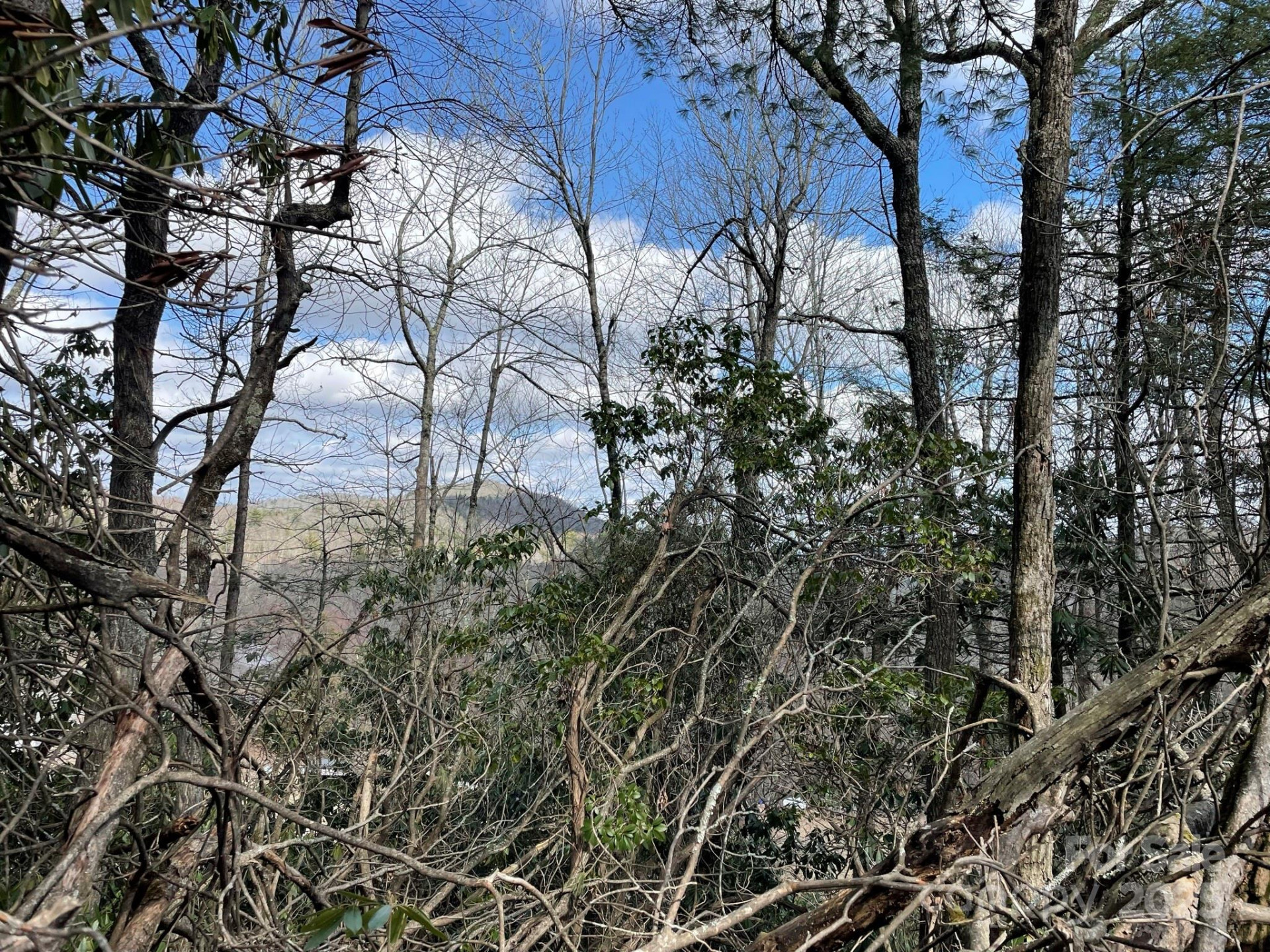 0 Gingercake Road - Photo 12