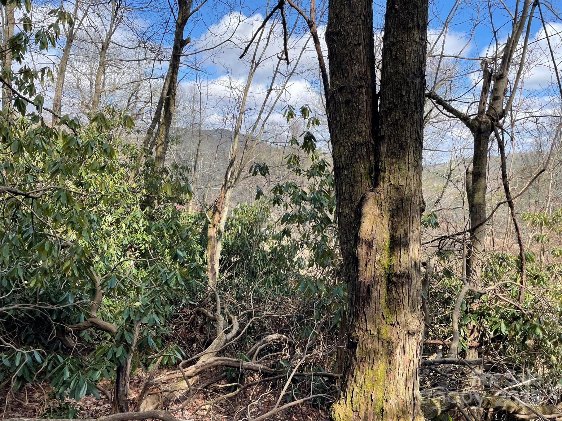 0 Gingercake Road - Photo 5