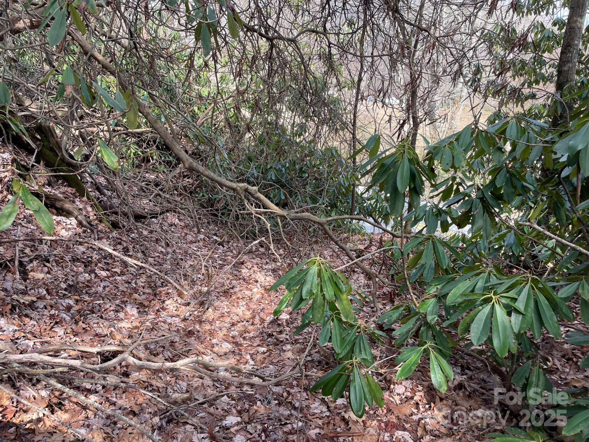 0 Gingercake Road - Photo 6