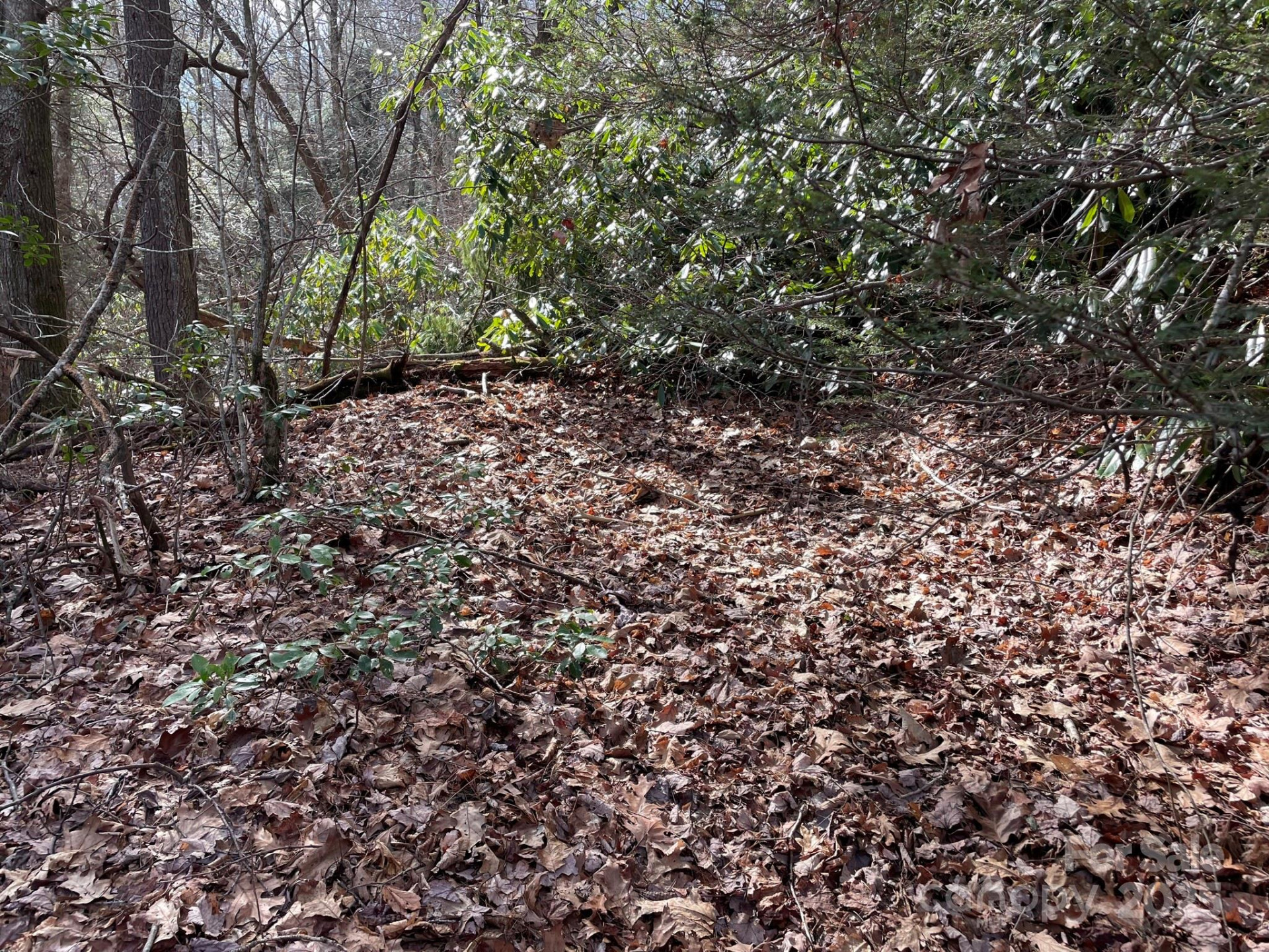 0 Gingercake Road - Photo 7