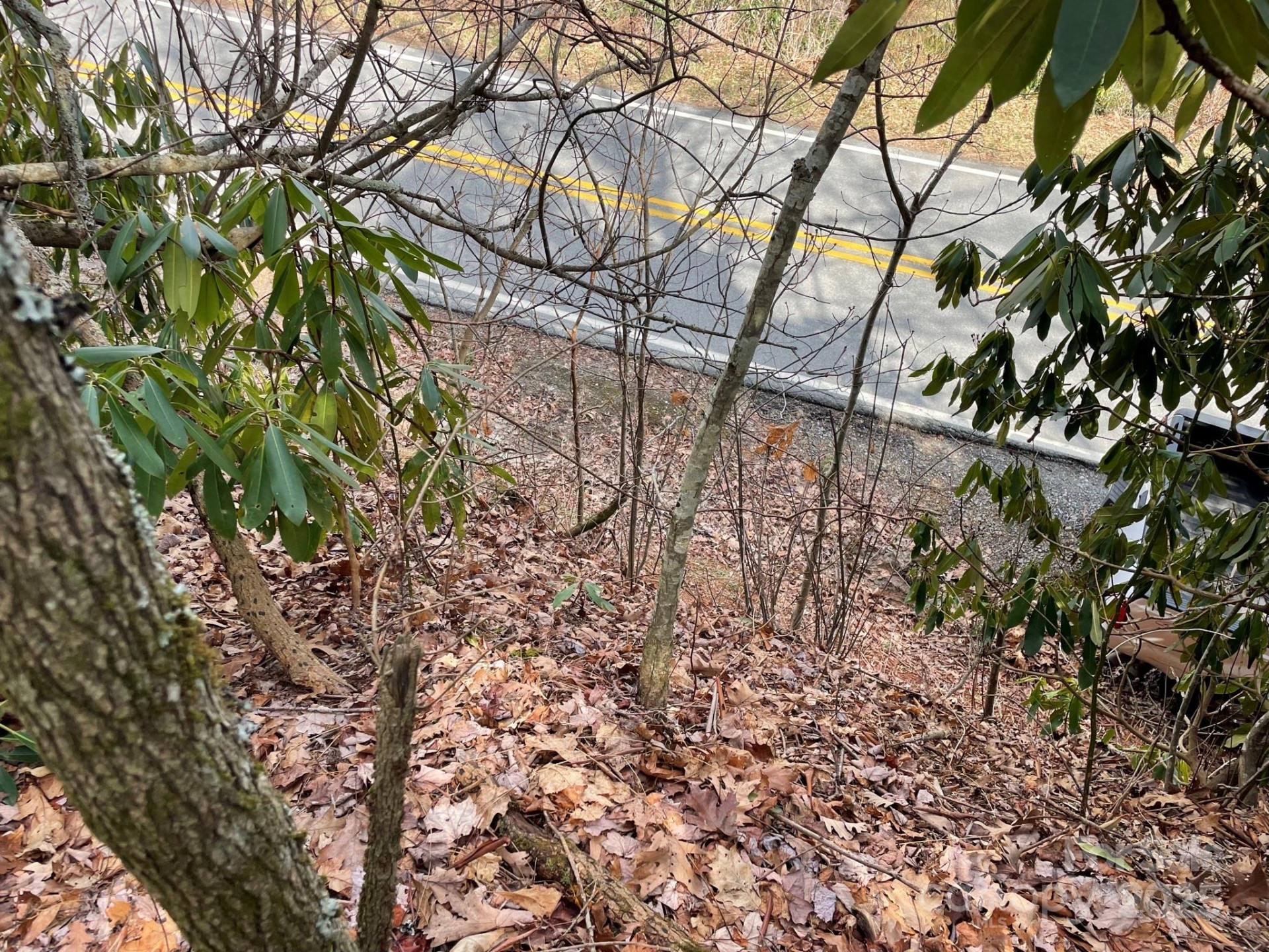 0 Gingercake Road - Photo 9