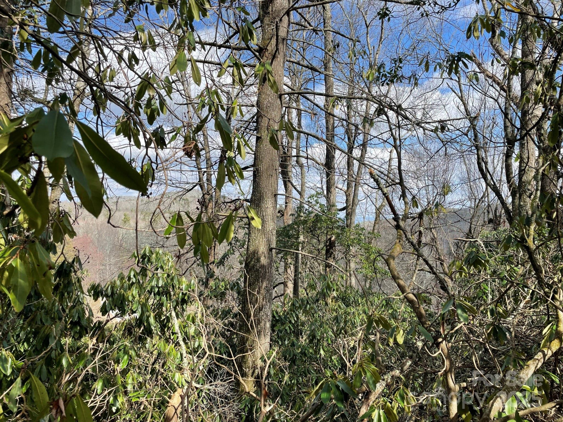 0 Gingercake Road - Photo 10