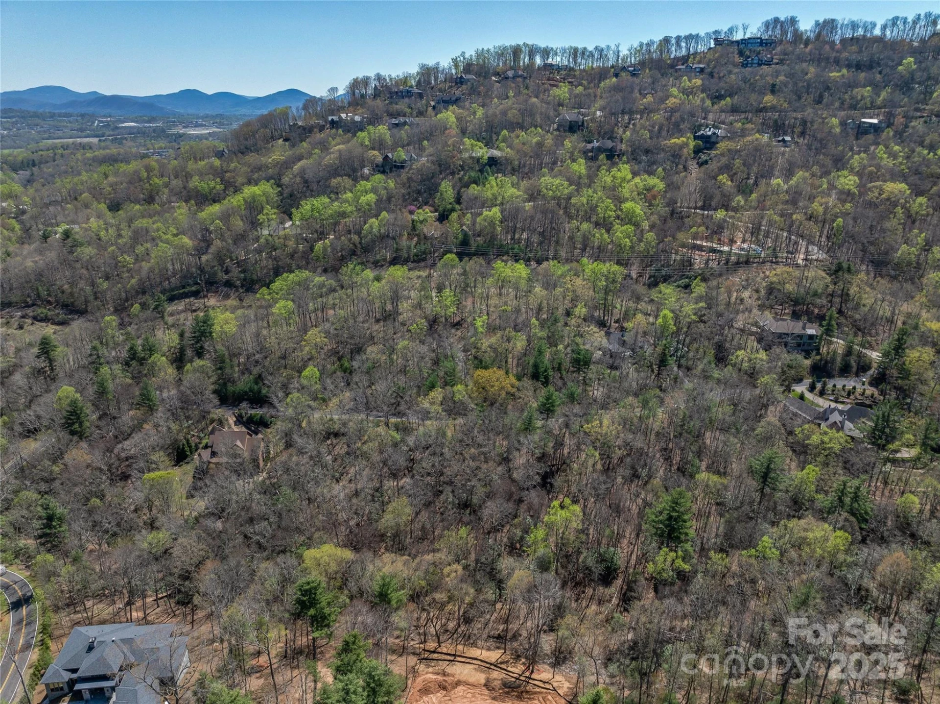 37 Dividing Ridge Trail #12 - Photo 12