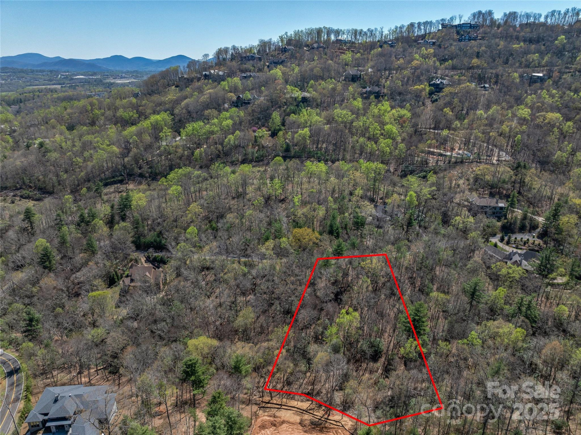 37 Dividing Ridge Trail #12 - Photo 13