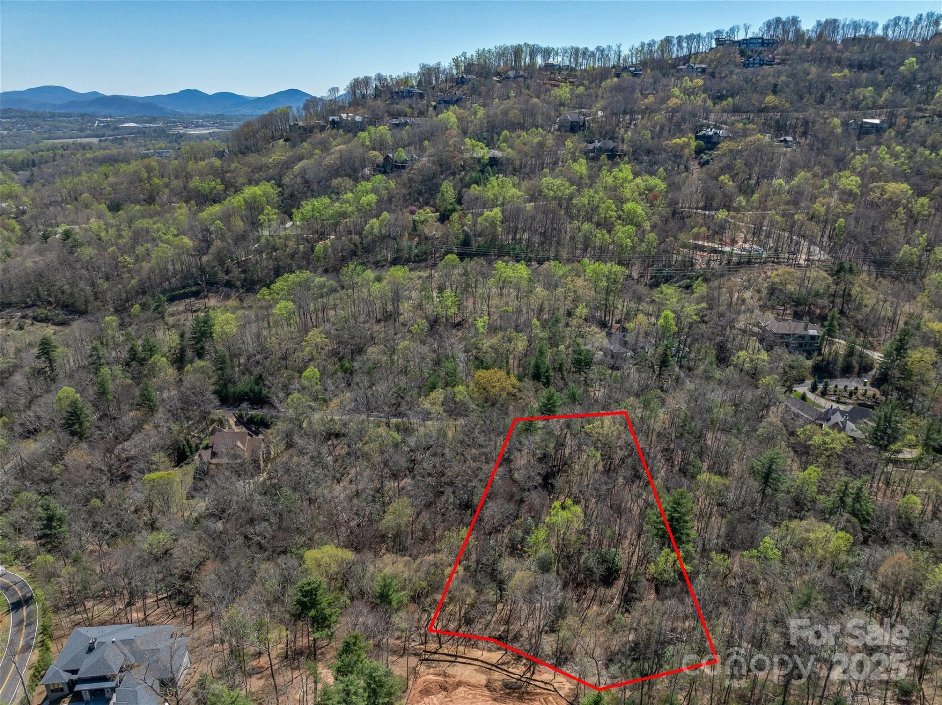 37 Dividing Ridge Trail #12 - Photo 13