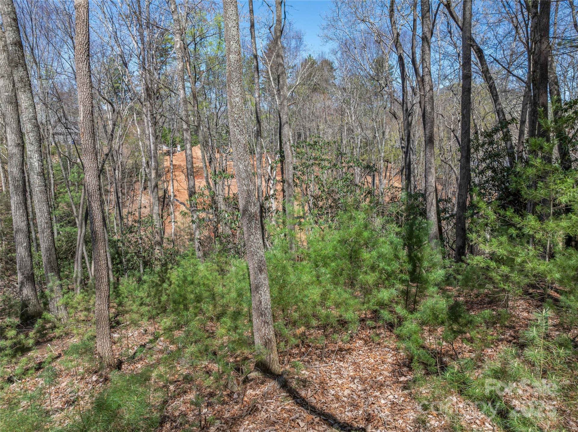 37 Dividing Ridge Trail #12 - Photo 17