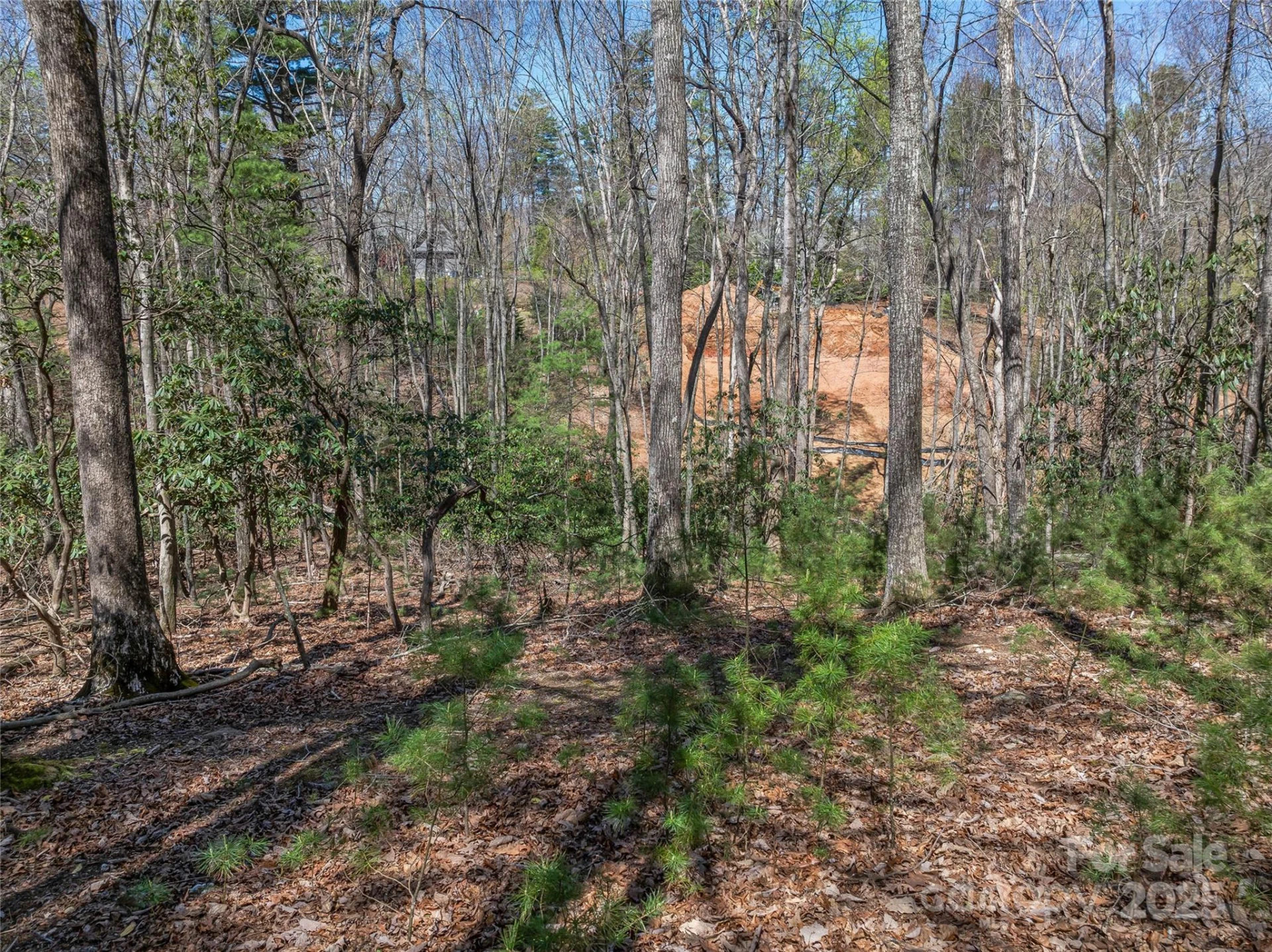 37 Dividing Ridge Trail #12 - Photo 18
