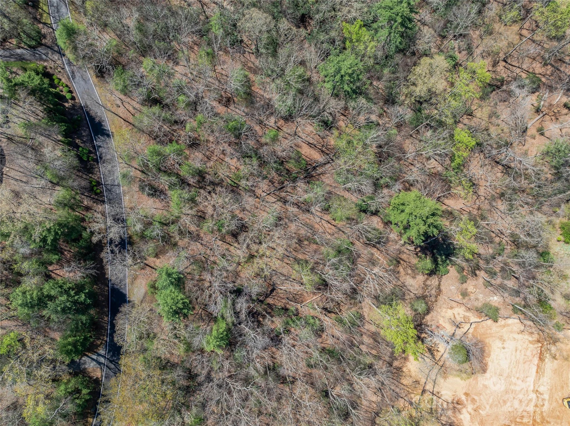 37 Dividing Ridge Trail #12 - Photo 5