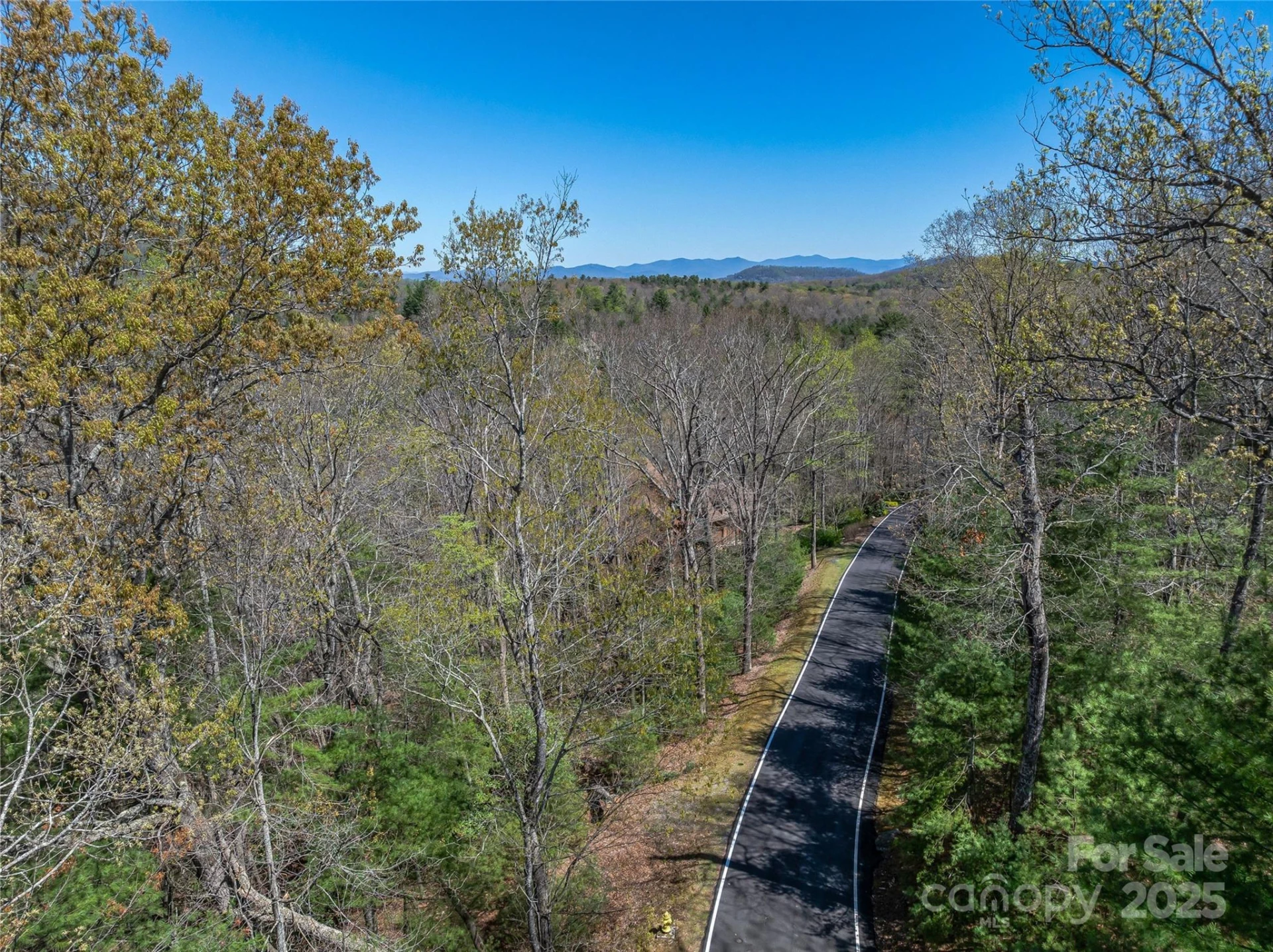 37 Dividing Ridge Trail #12 - Photo 7