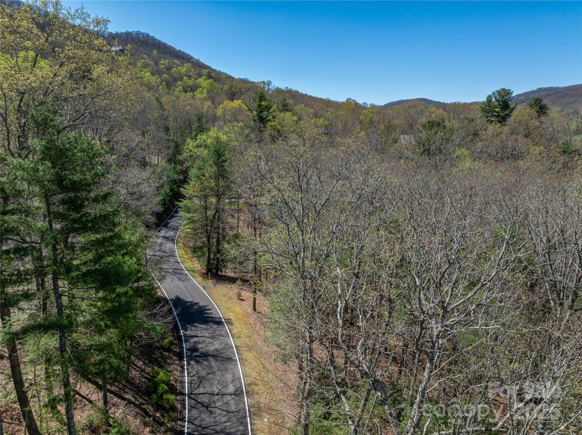37 Dividing Ridge Trail #12 - Photo 10