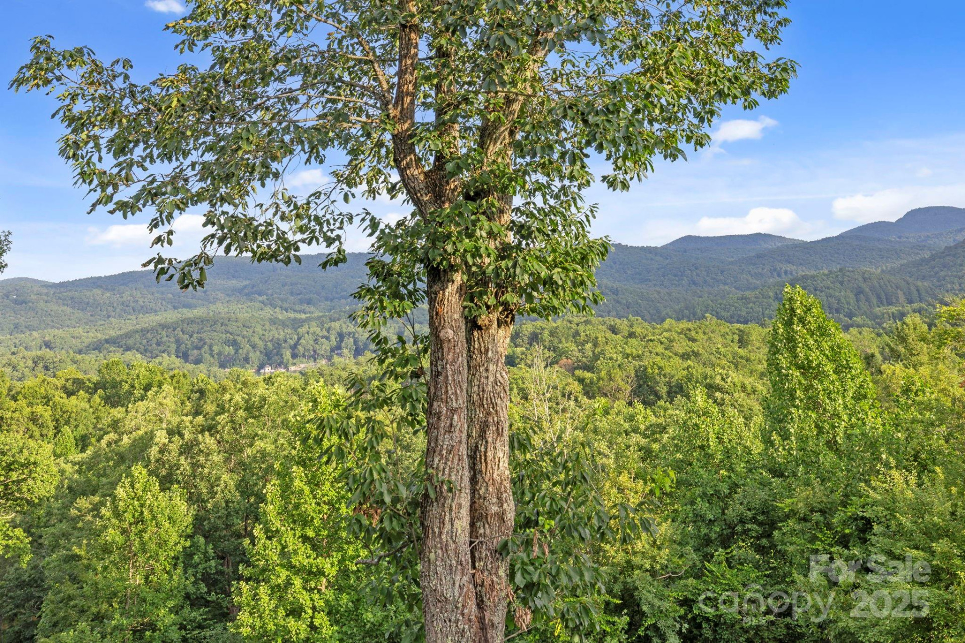 288 Hawks Point Drive - Photo 39