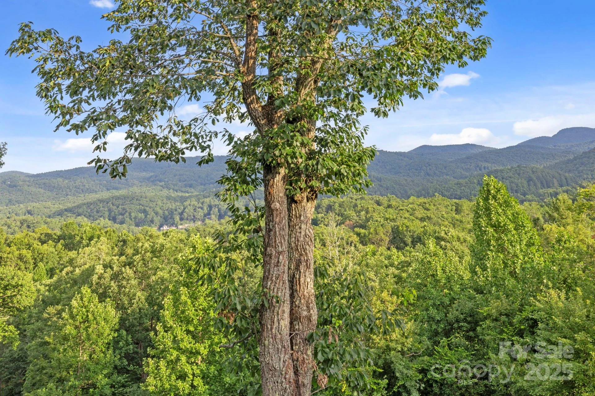 288 Hawks Point Drive - Photo 39