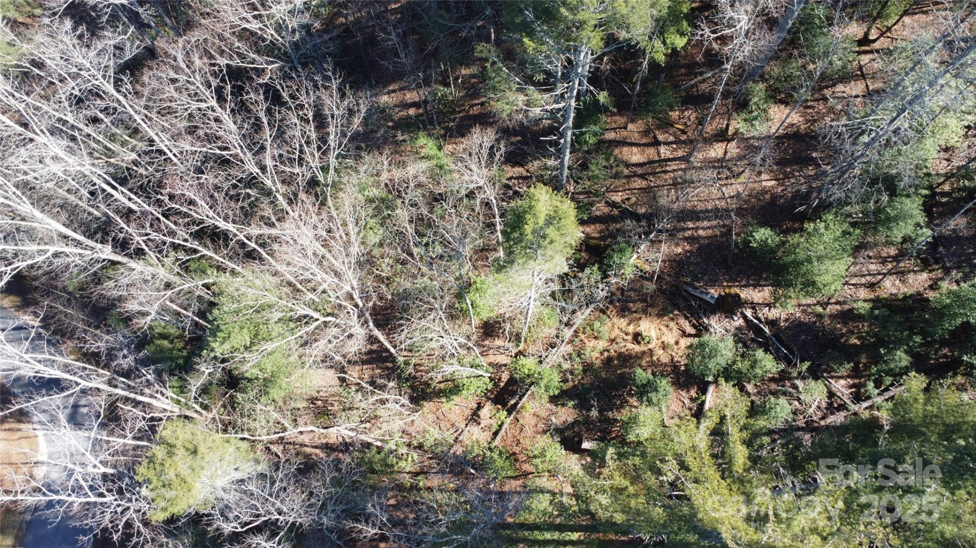 444 Dockside Drive #17A - Photo 2