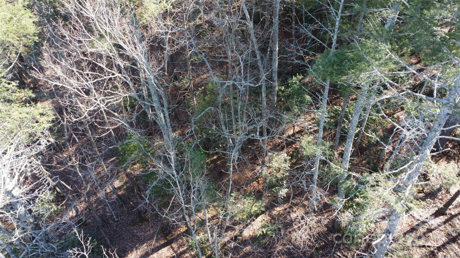 444 Dockside Drive #17A - Photo 11