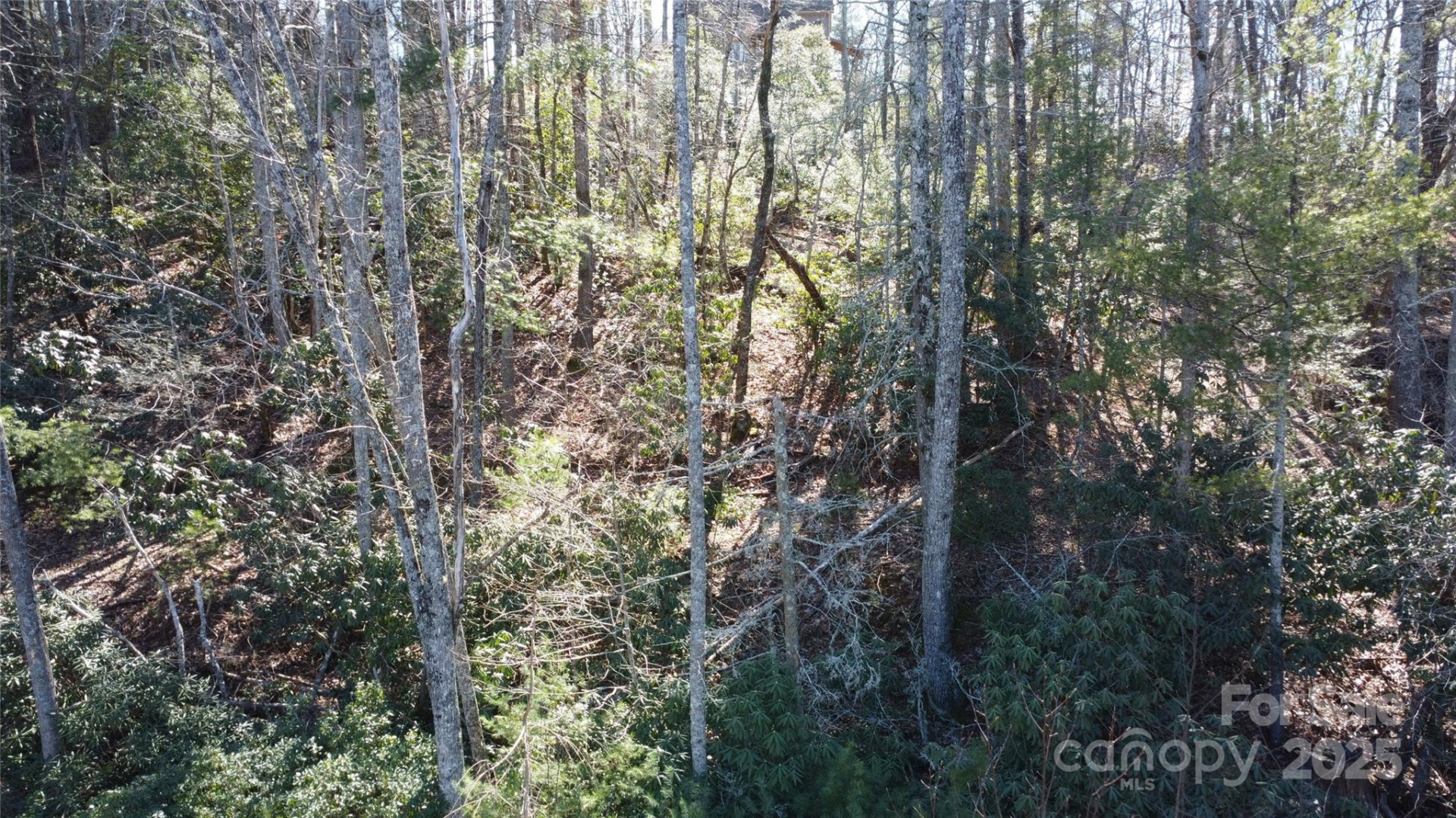 444 Dockside Drive #17A - Photo 12