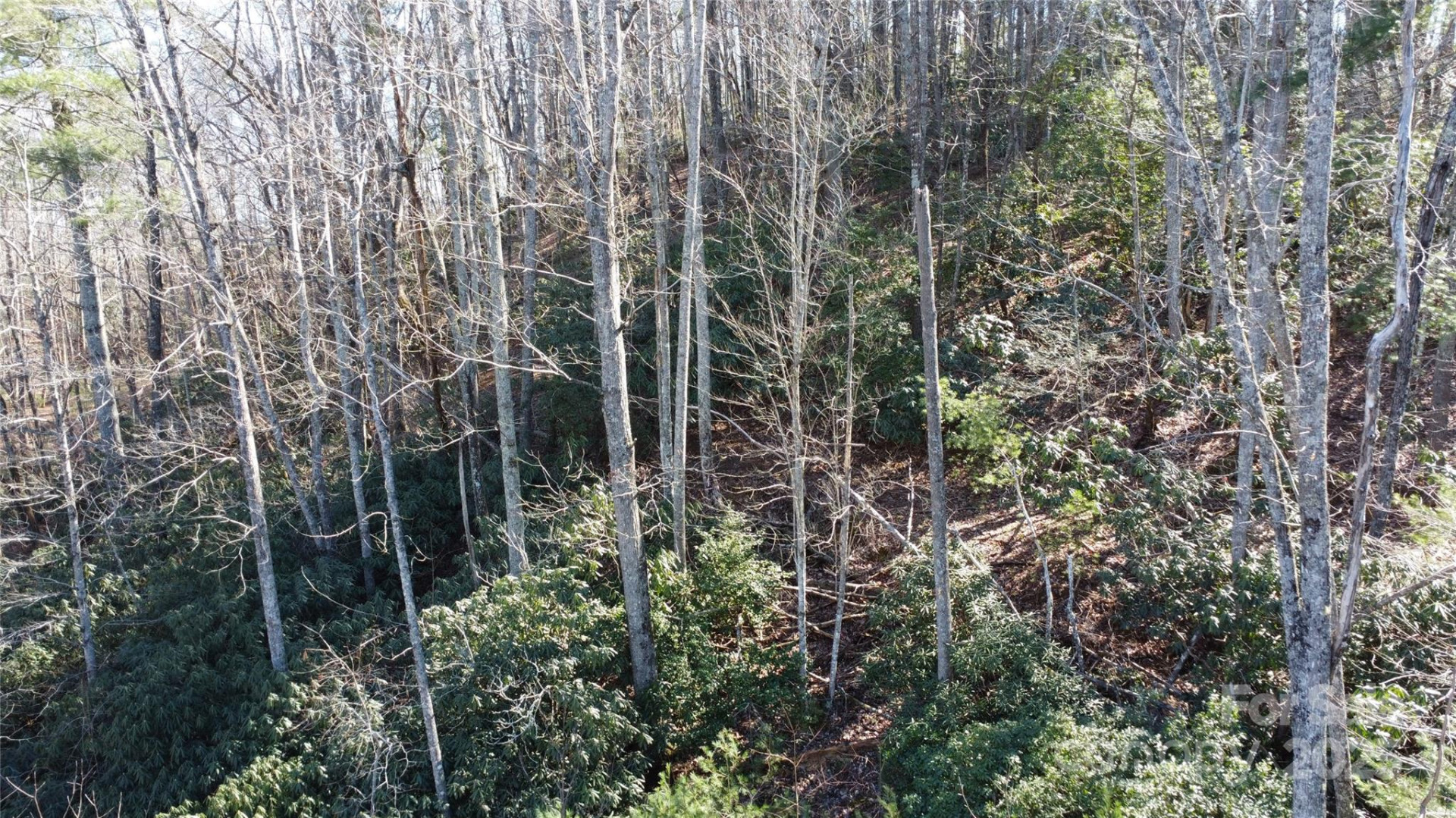 444 Dockside Drive #17A - Photo 13