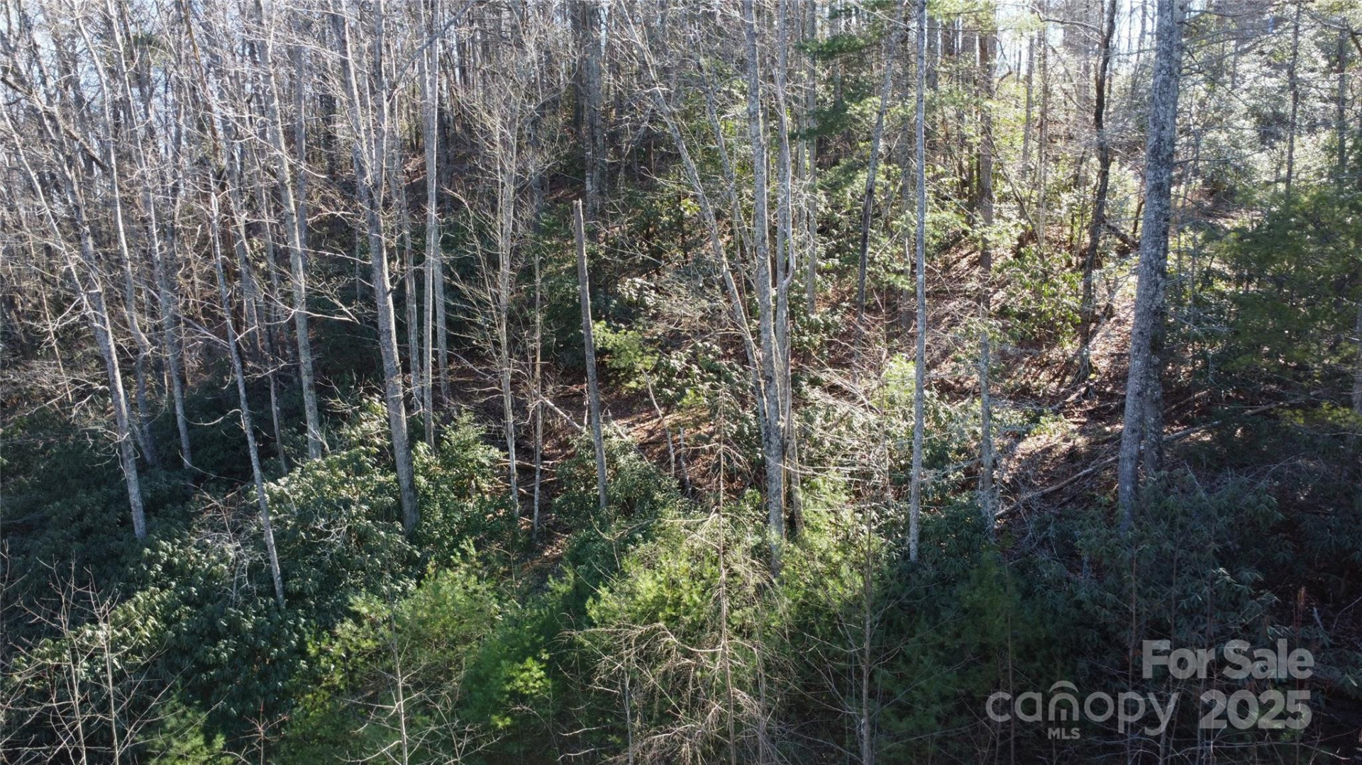 444 Dockside Drive #17A - Photo 14