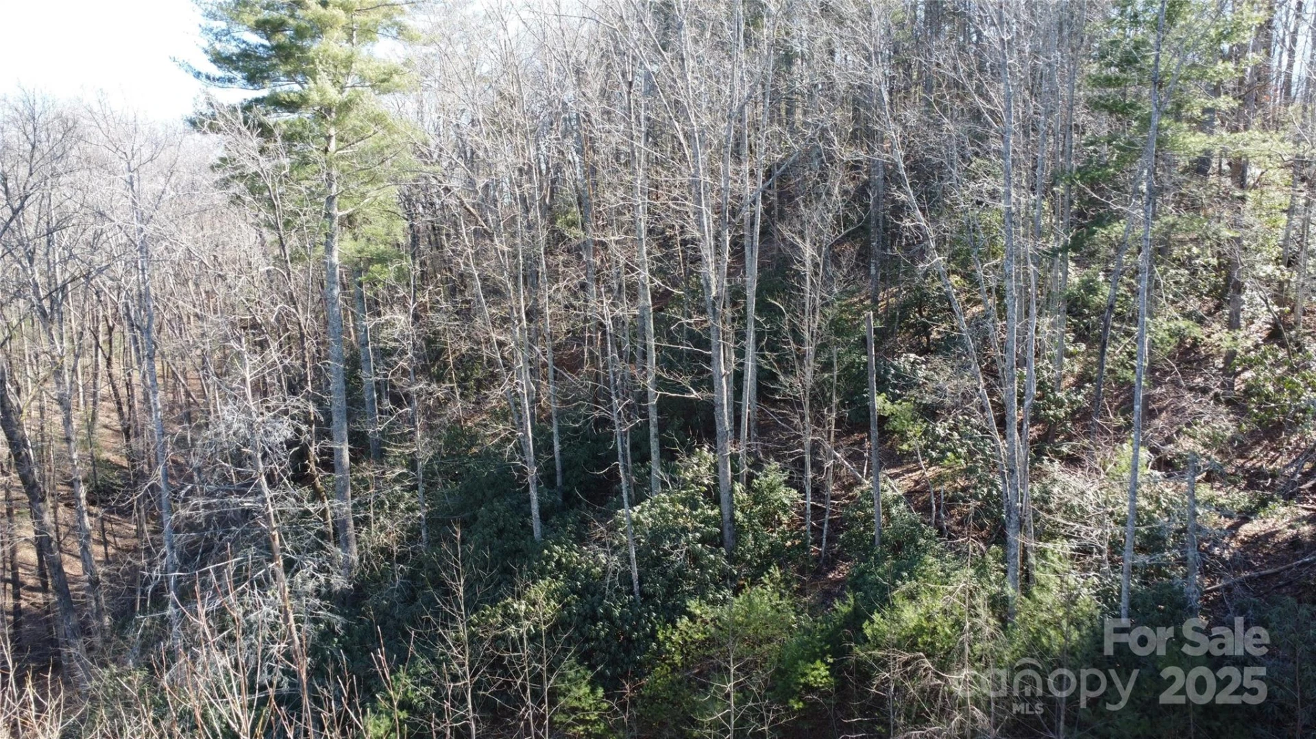 444 Dockside Drive #17A - Photo 16