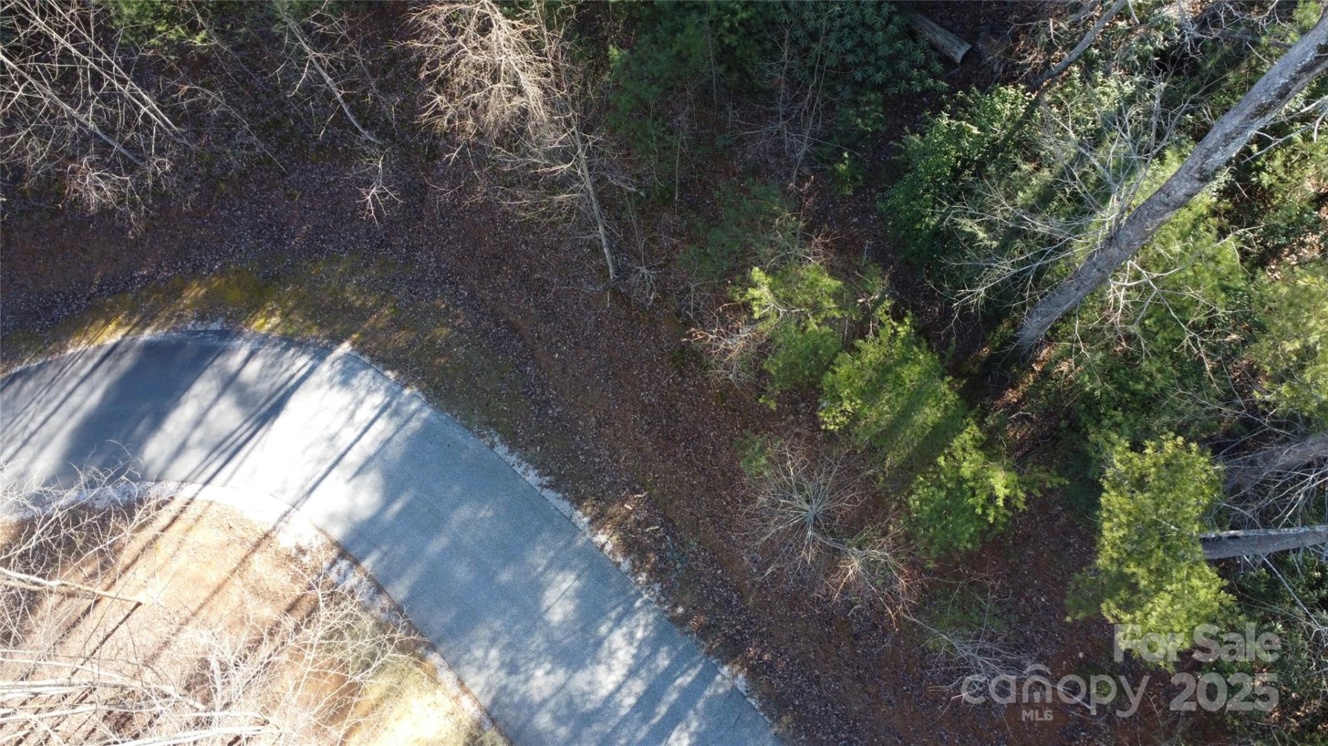 444 Dockside Drive #17A - Photo 3