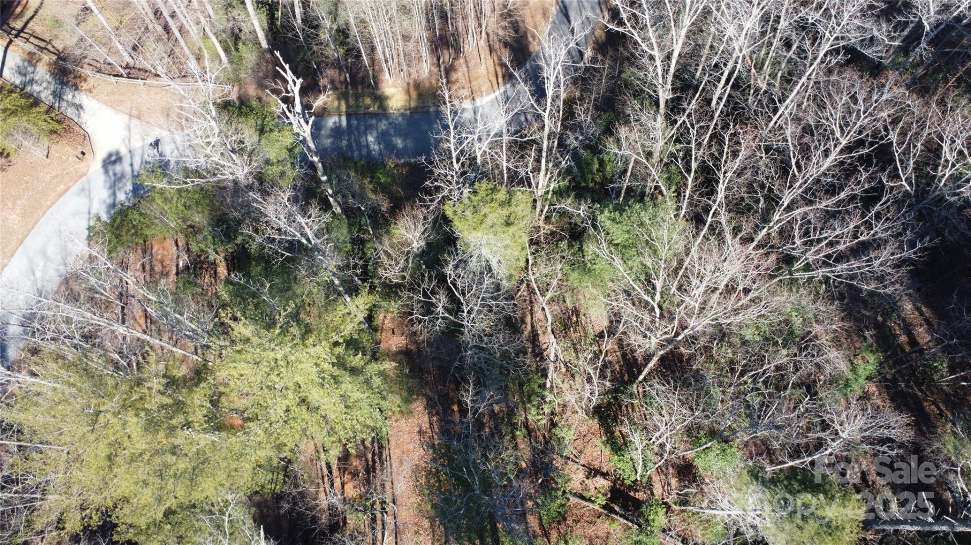 444 Dockside Drive #17A - Photo 5