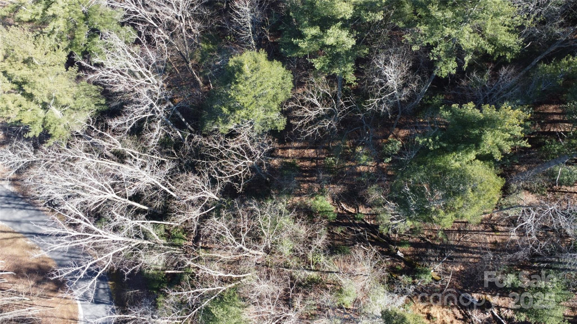 444 Dockside Drive #17A - Photo 7