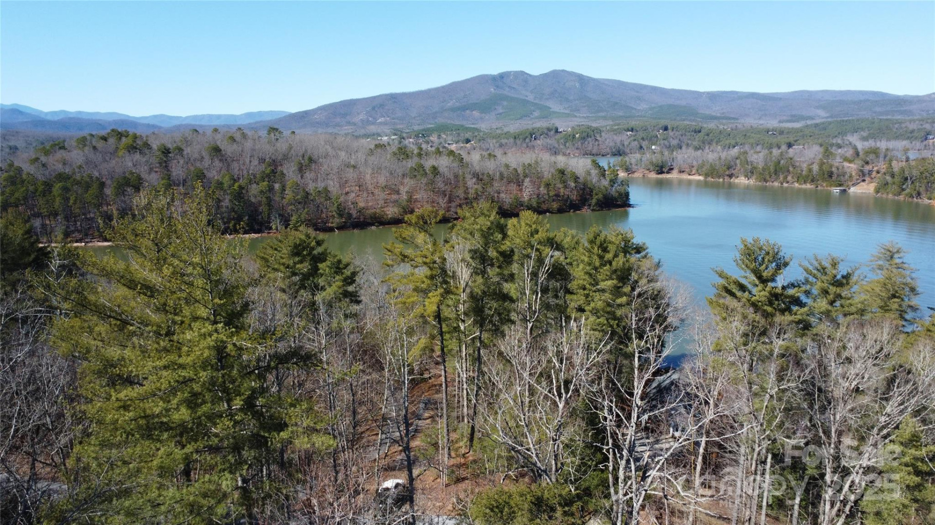 444 Dockside Drive #17A - Photo 8