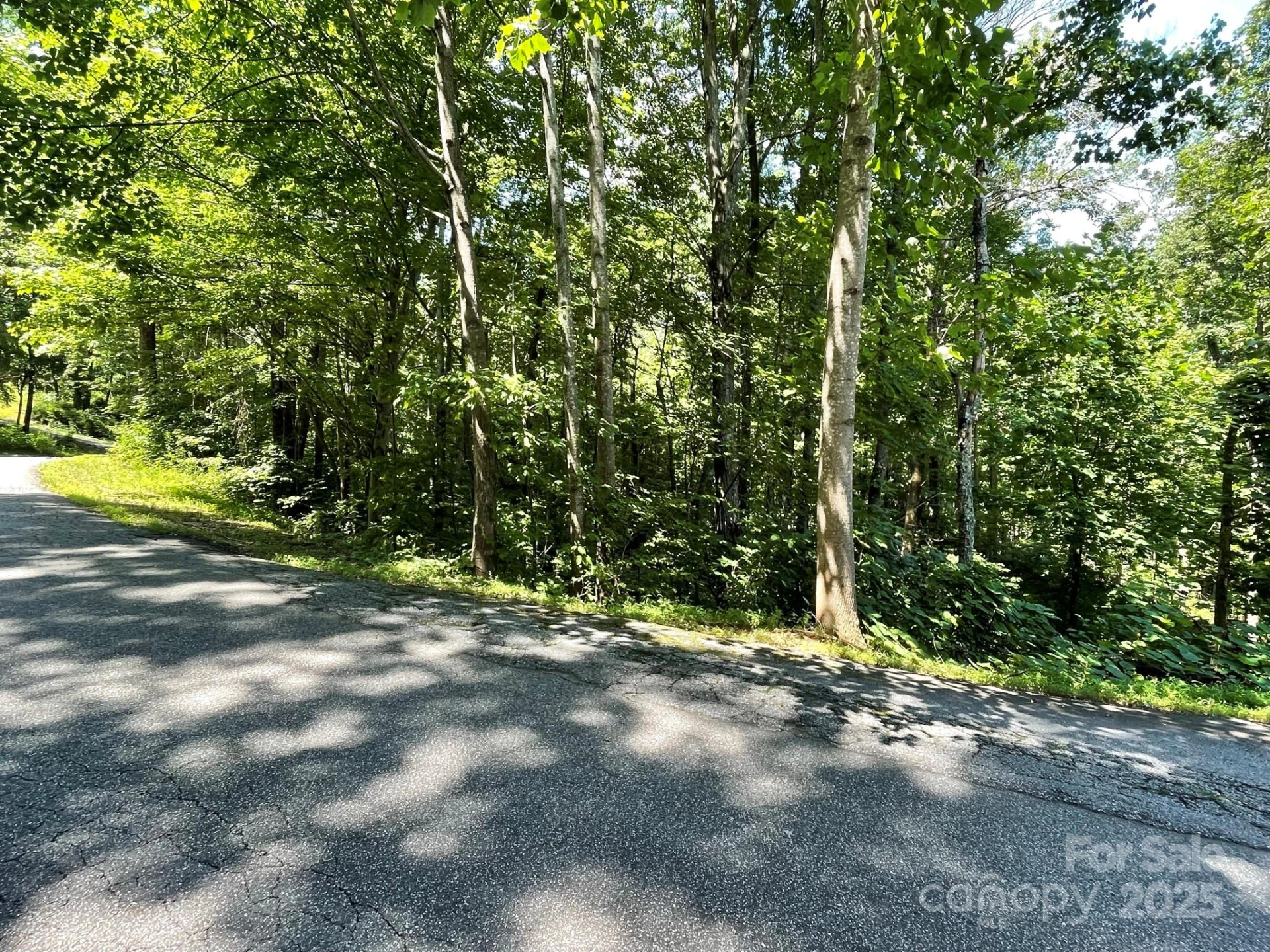3287 Stones Throw Drive #3 - Photo 2