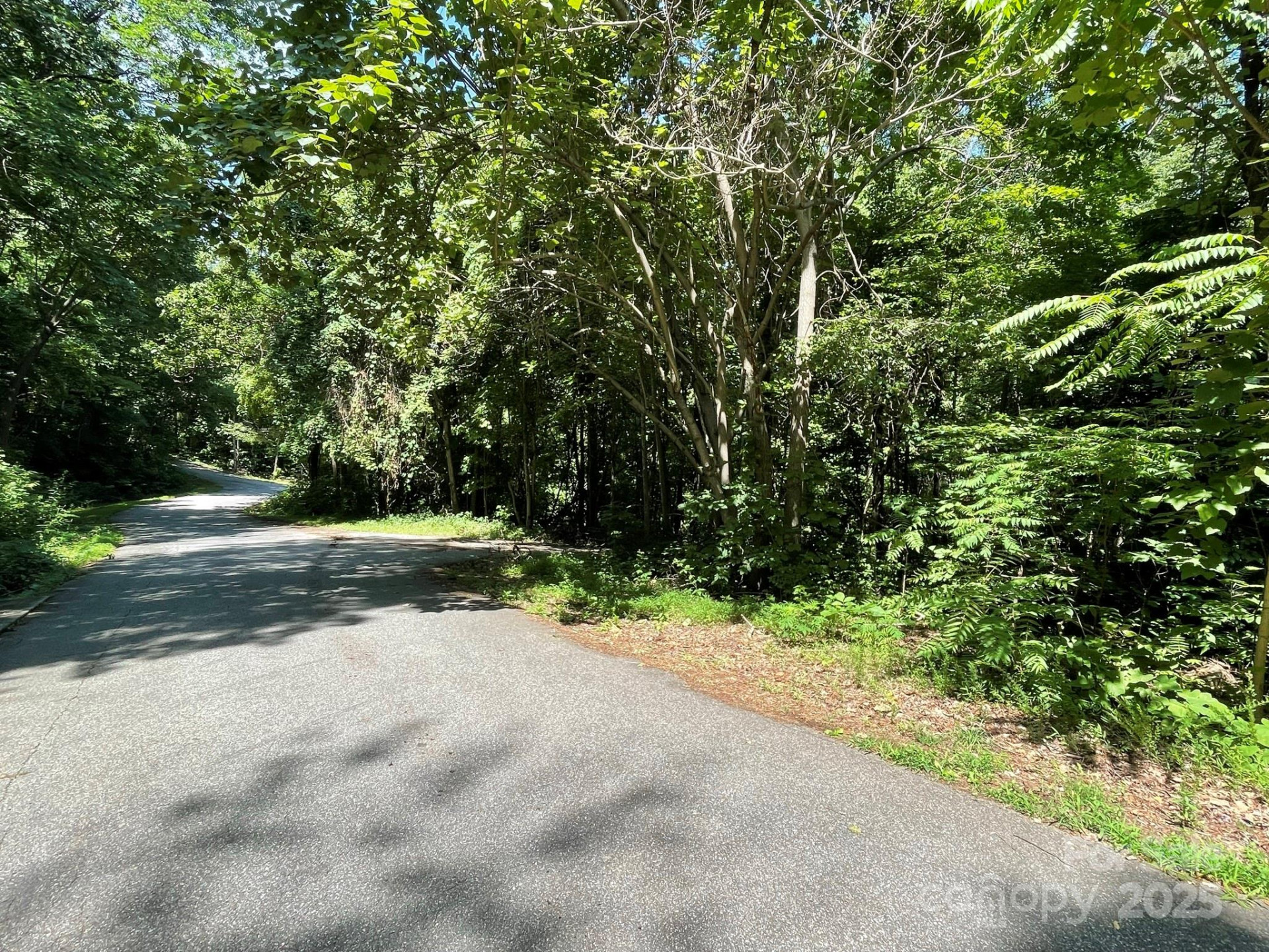 3287 Stones Throw Drive #3 - Photo 4