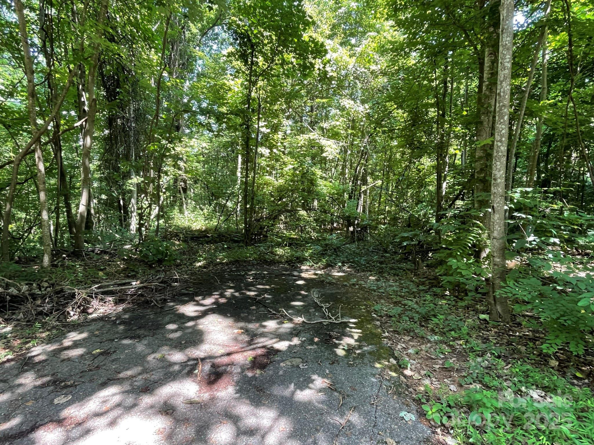 3287 Stones Throw Drive #3 - Photo 5