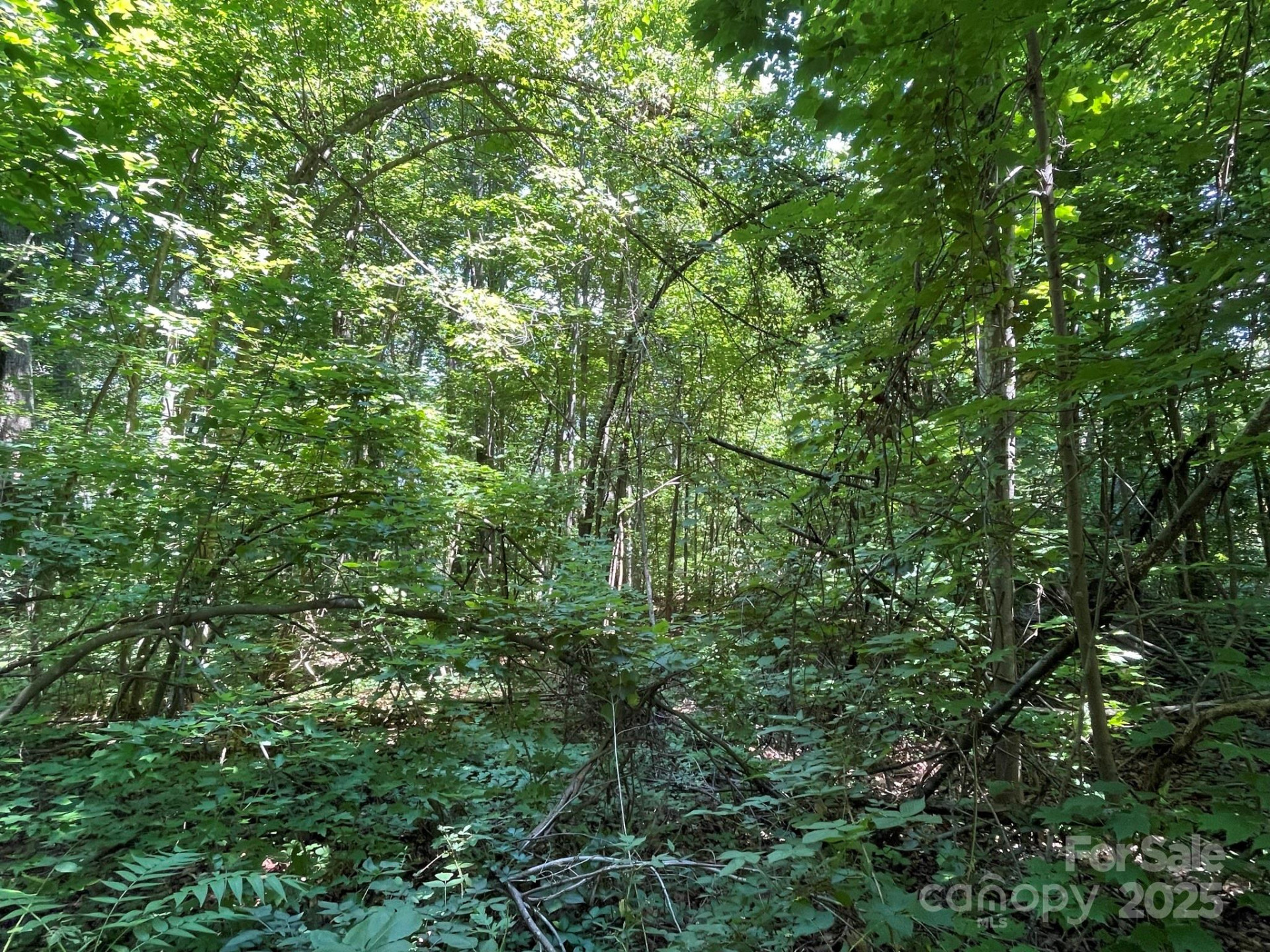 3287 Stones Throw Drive #3 - Photo 6