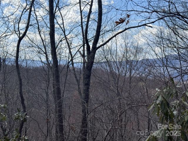 81 Boarding House Way