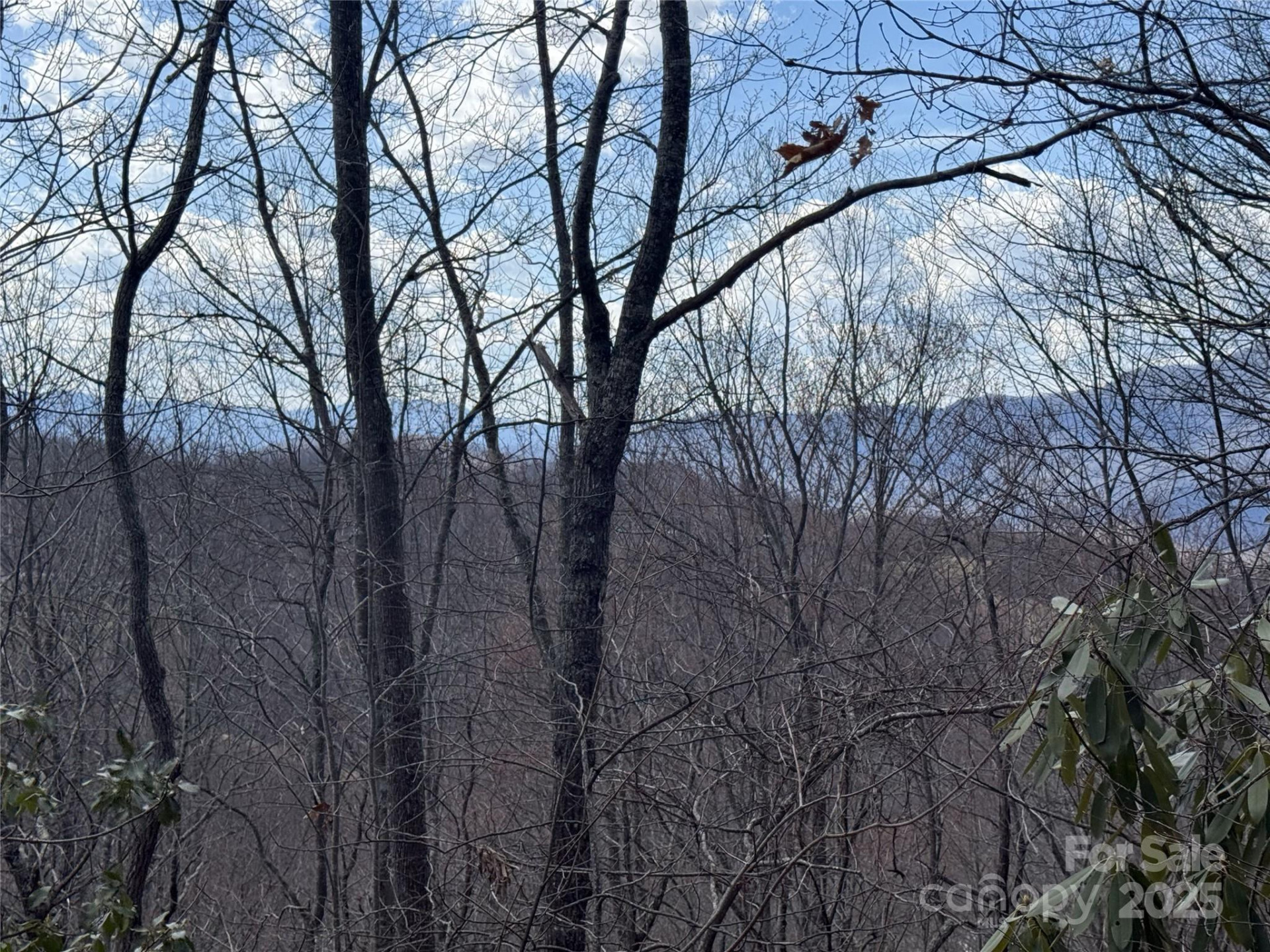 81 Boarding House Way #92