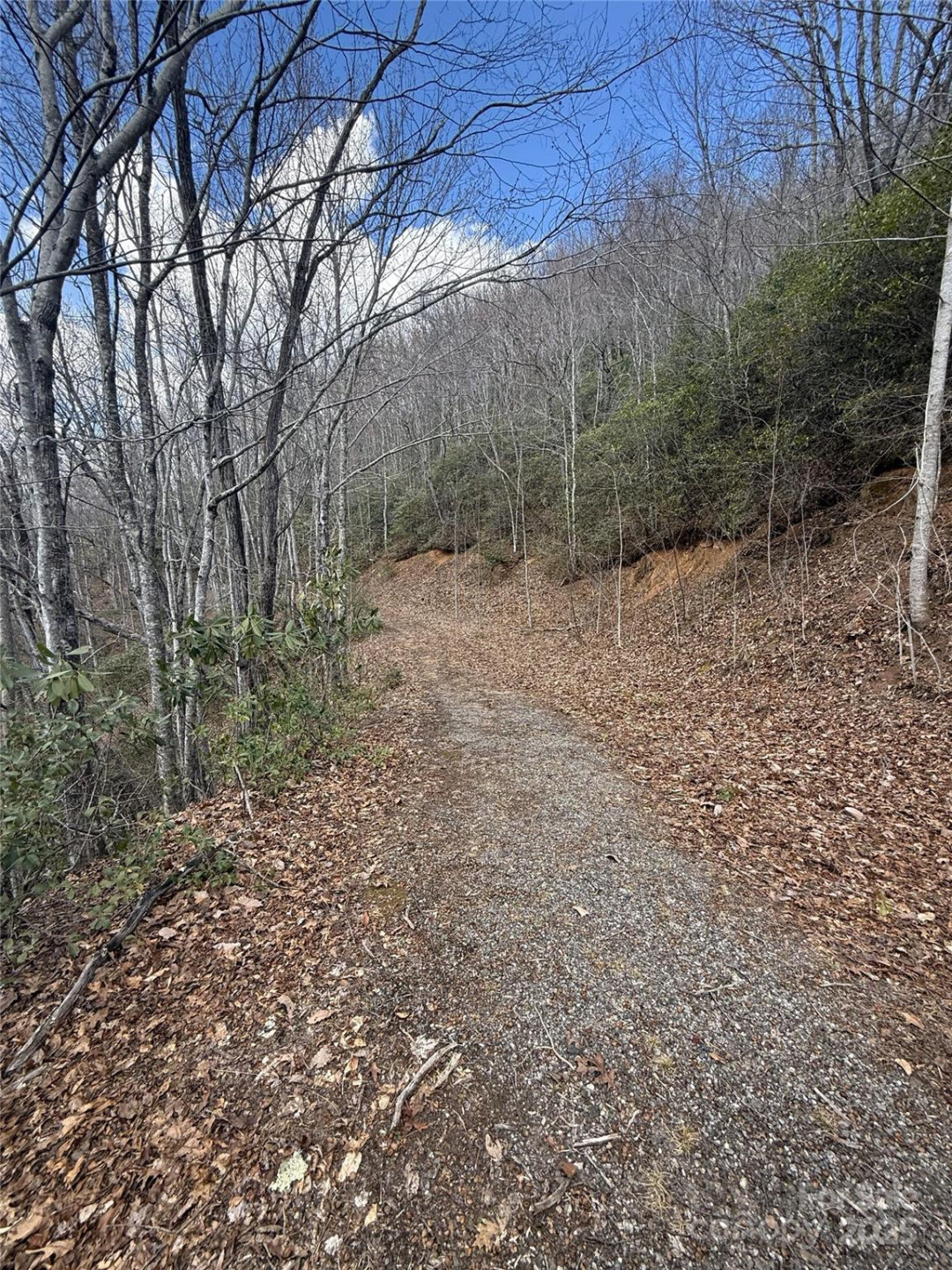 81 Boarding House Way #92 - Photo 2