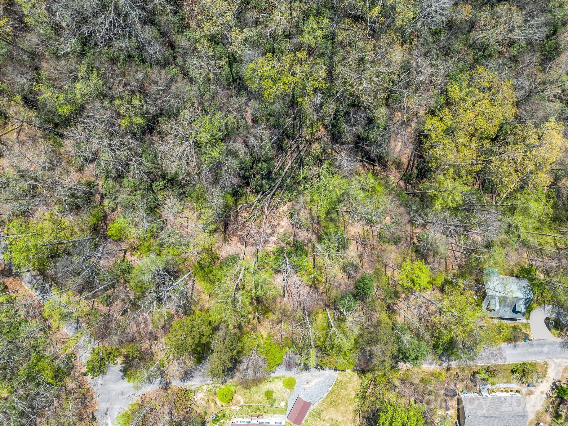 999 Grand Canyon Drive - Photo 2