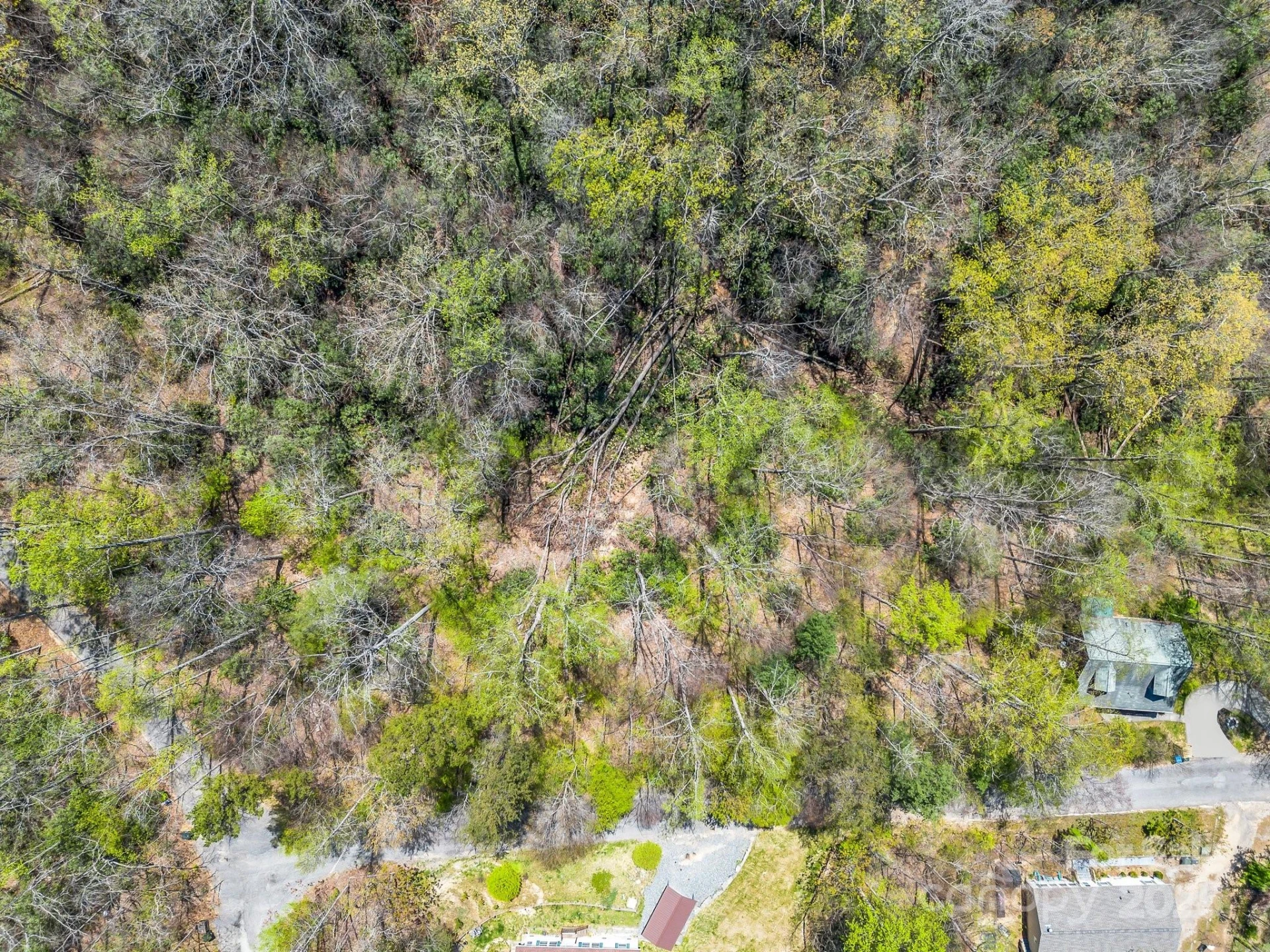 999 Grand Canyon Drive - Photo 2