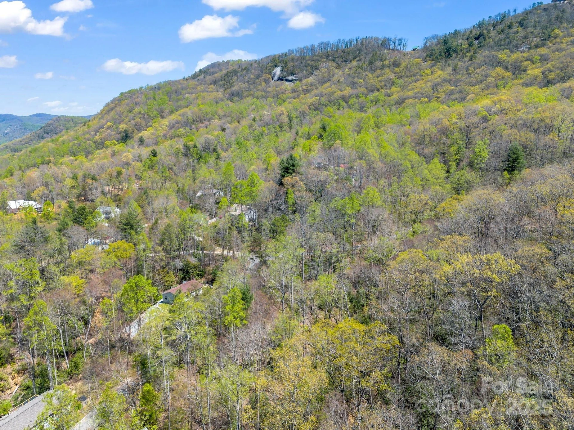 999 Grand Canyon Drive - Photo 19