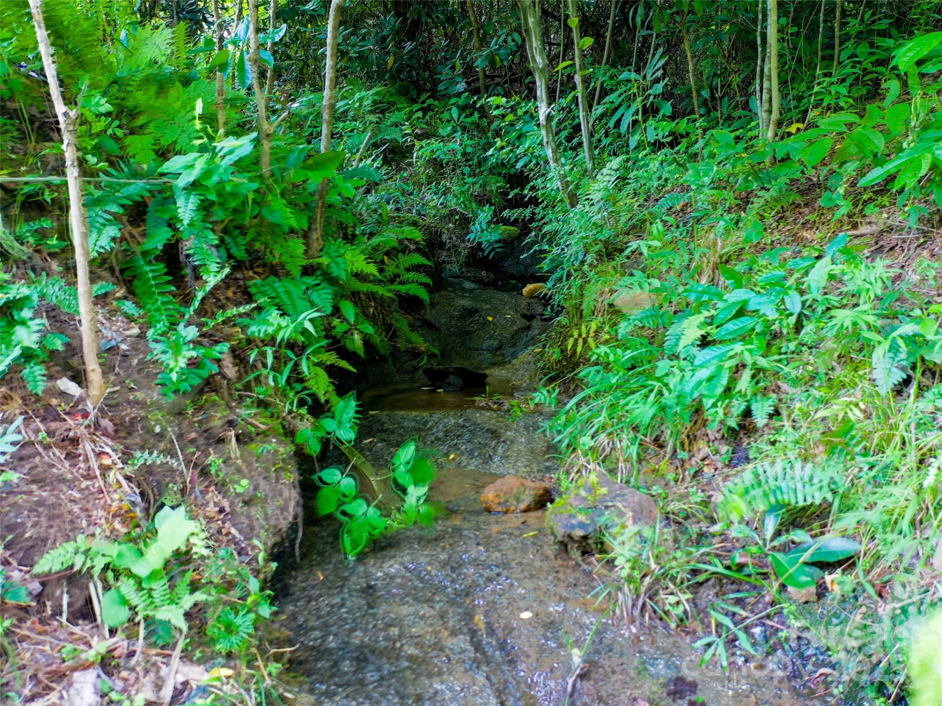 0 Freedom Trail Court - Photo 14