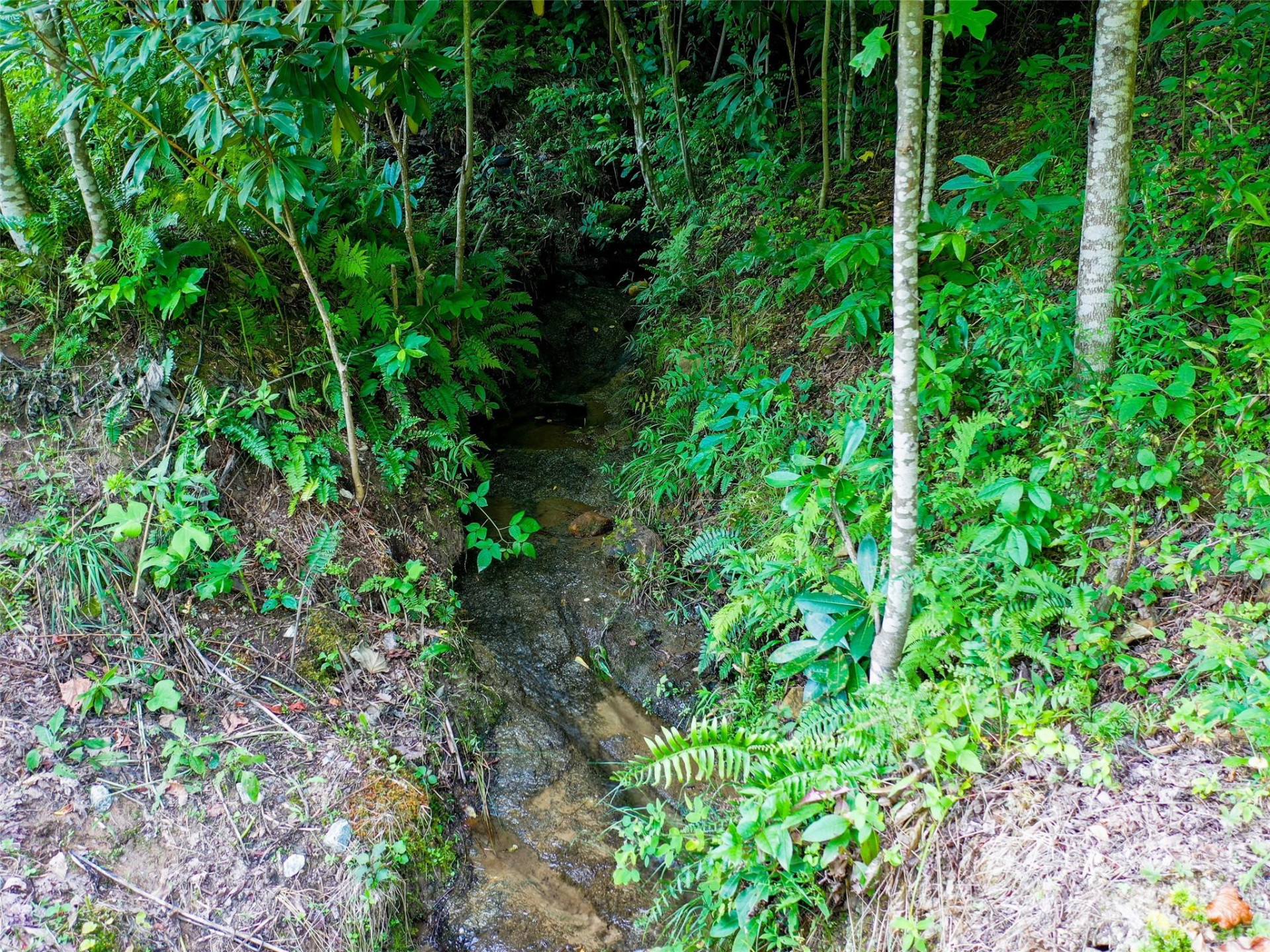 0 Freedom Trail Court - Photo 15