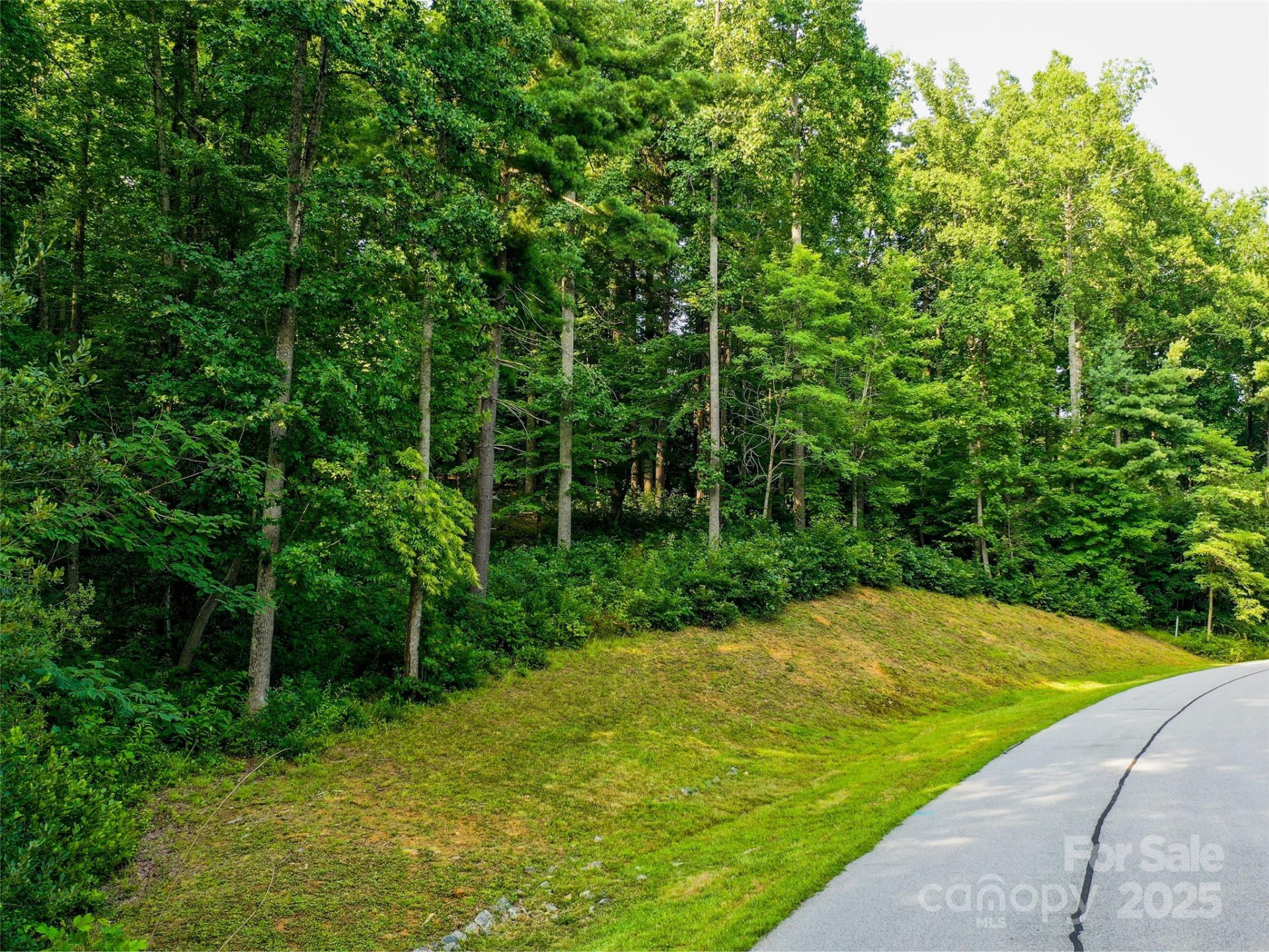 0 Freedom Trail Court - Photo 3