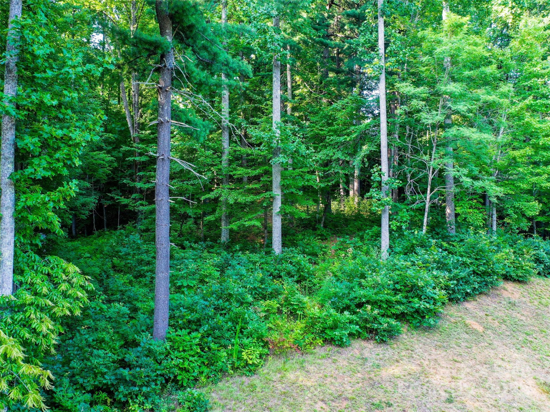 0 Freedom Trail Court - Photo 4