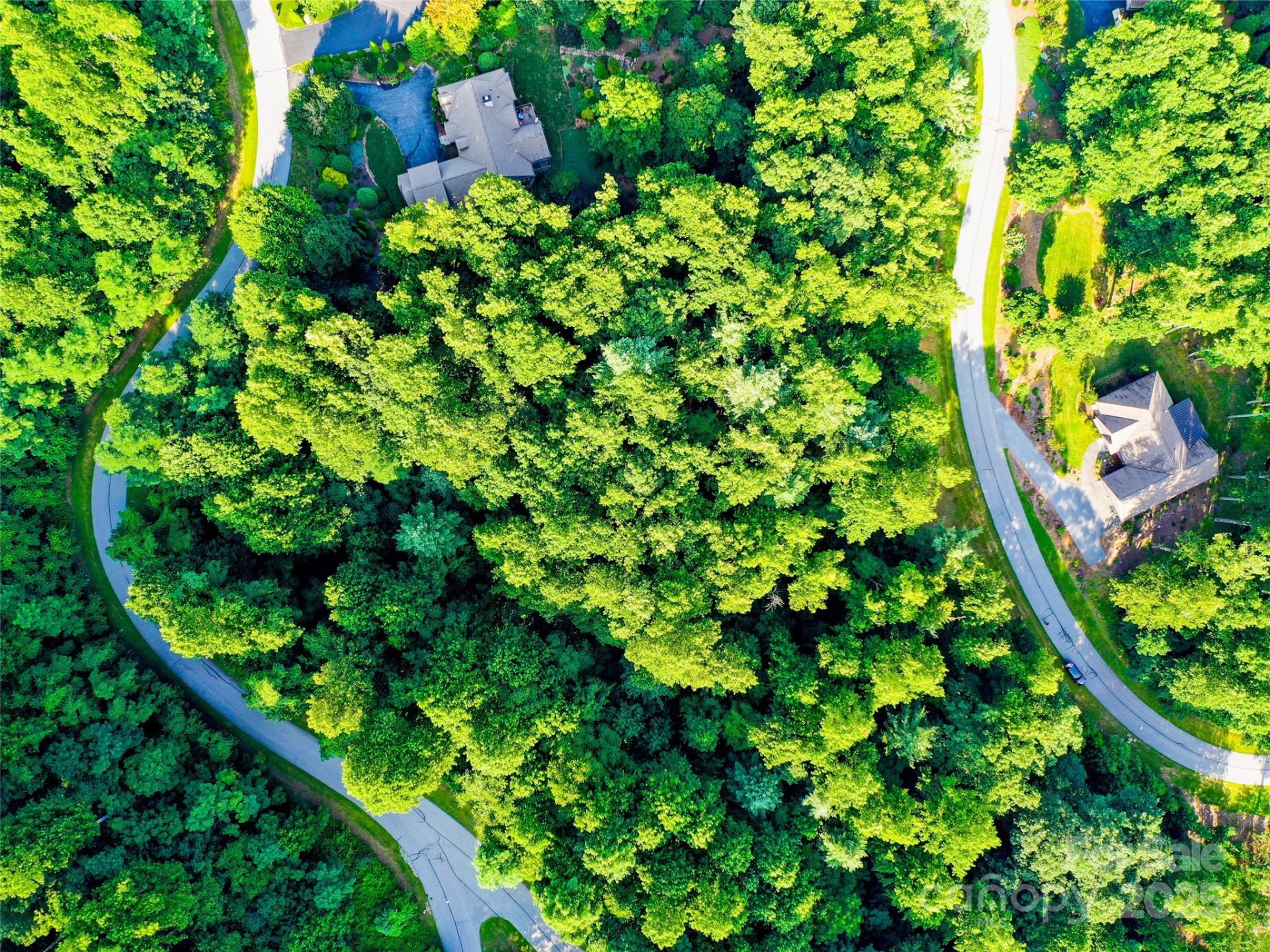 0 Freedom Trail Court - Photo 6