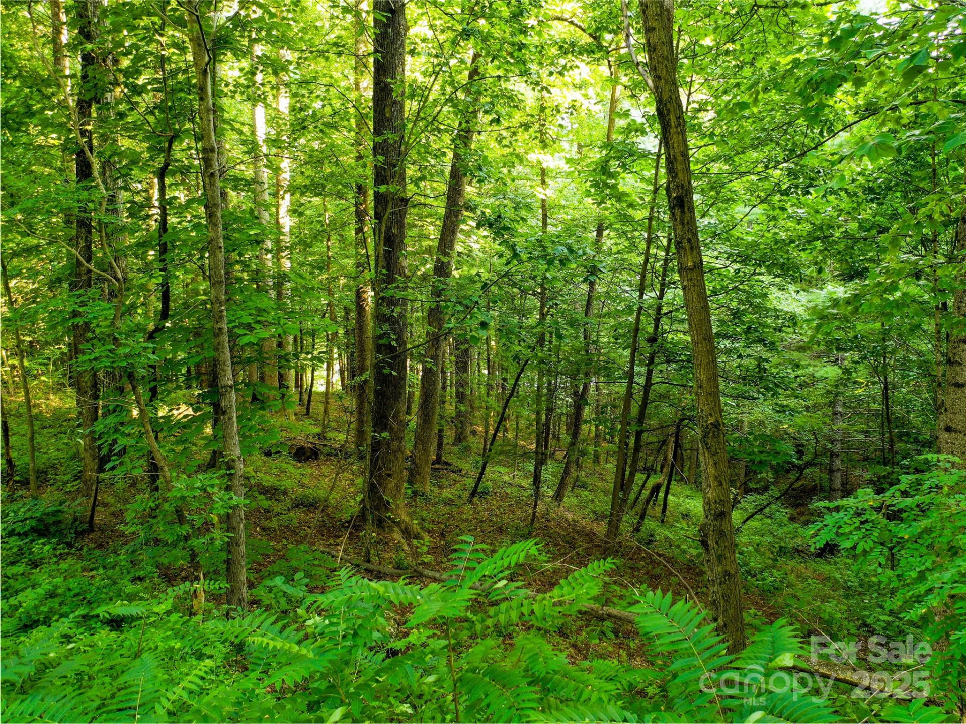 0 Freedom Trail Court - Photo 9